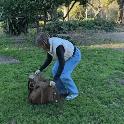 2-in-1 Tote Bag That Turns Into a Blanket in Seconds