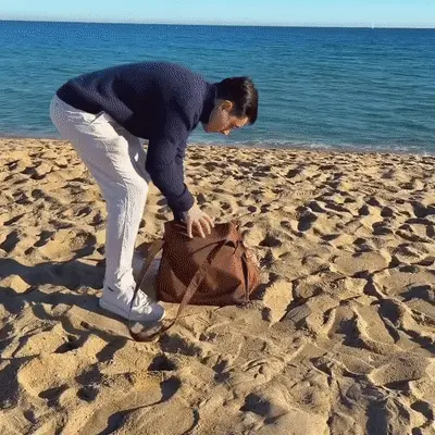 2-in-1 Tote Bag That Turns Into a Blanket in Seconds