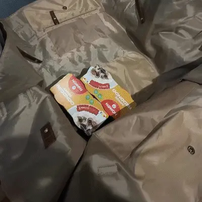 2-in-1 Tote Bag That Turns Into a Blanket in Seconds